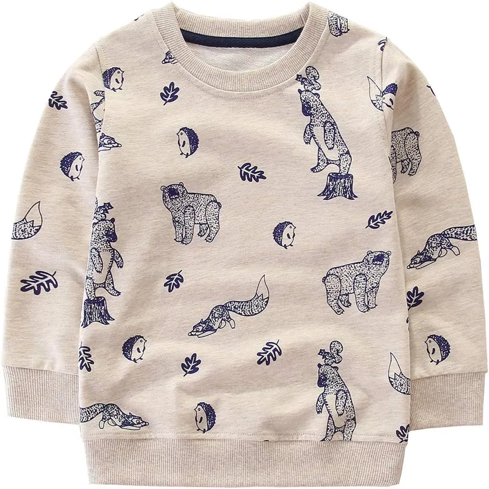 Bumeex Toddler Boy's Kids Crewneck Pullover Sweatshirts 2-7Year
